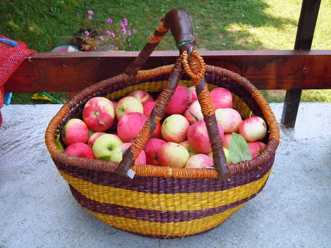 jabuke sa Fruške gore- Banoštor- GornjeKruševlje