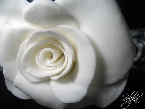 Bela ruža od fondana
