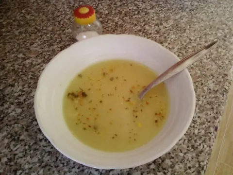 fina gusta juha od luka