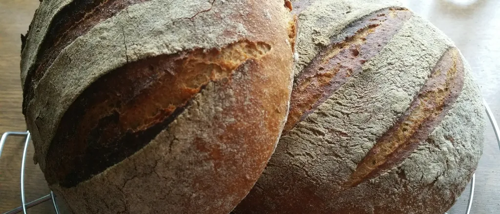 Kruh probati