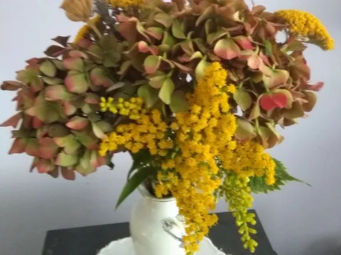 Jesenji buket  hortenzije