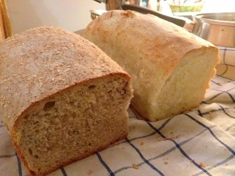 Domaci hleb (integralni i beli)