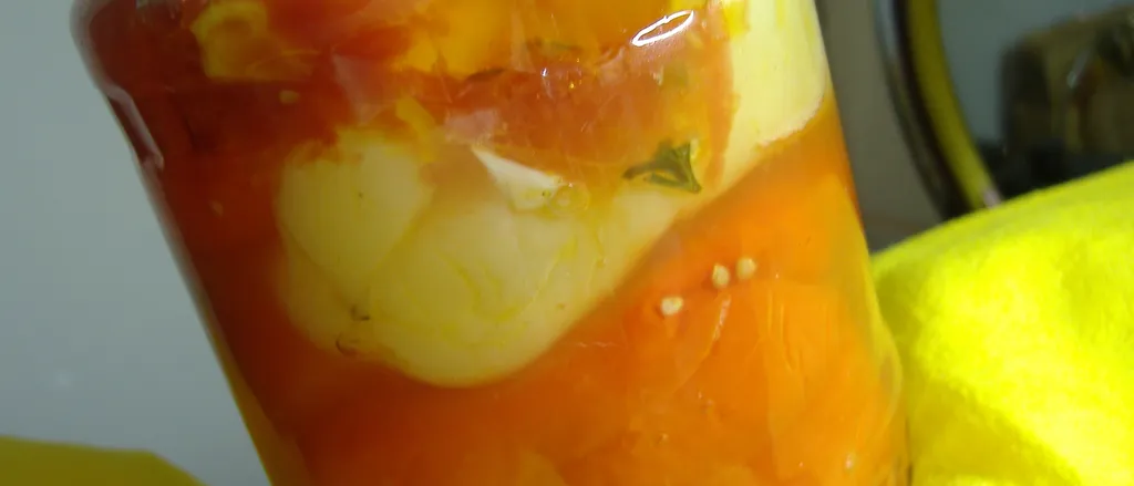 Zimnica slana paprika u rajcici