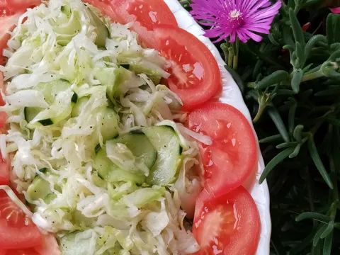 Salata od zelja i krastavaca