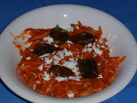 Ideja za brzi ručak: Pašta u šugu od pomidora s friganim bazilikom