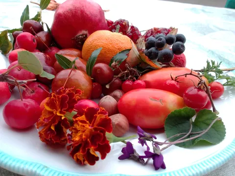 Jesenski plodovi i proljetne ljubičice