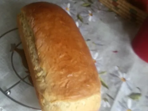 upravo pećen domaći kruh