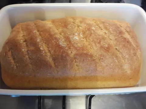 Moj domaći kruh