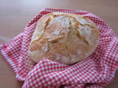 NY No knead Bread ( kruh koji se ne mijesi )