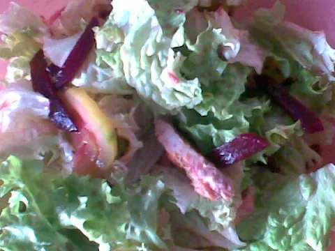 Salata s ciklom