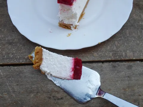Savrseni cheesecake by eva mil