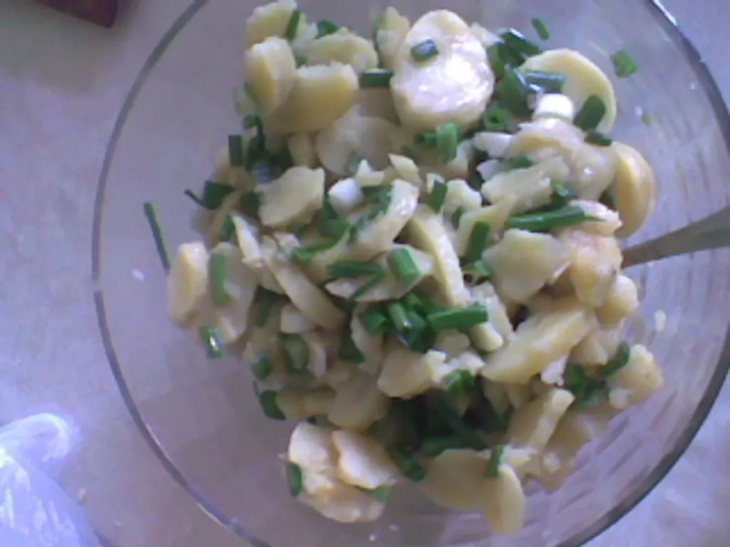 krumpir salata (s maldom lukom)