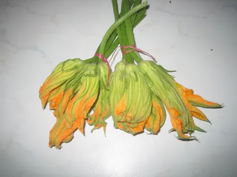 Cvjetovi od tikve