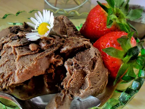 CVJETNI POZDRAV-čokoladni sladoled bez jaja