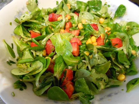 proljetna salata