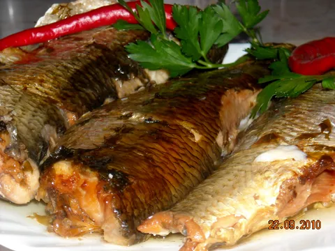 Riba iz ekspre lonca (sardinirana)