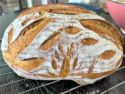 No kned, long fermented sourdough bread #15