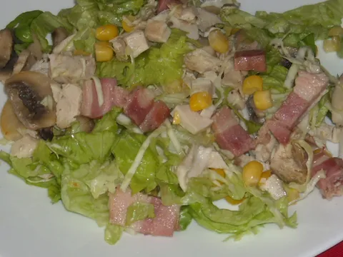 Salata s puretinom