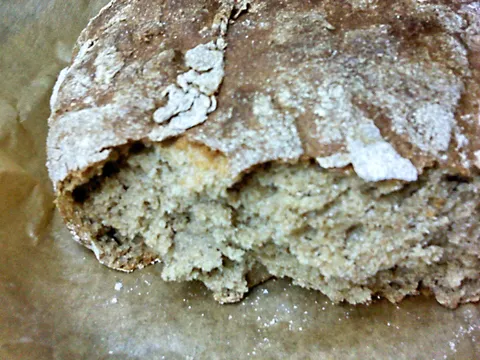 Beogradski hleb