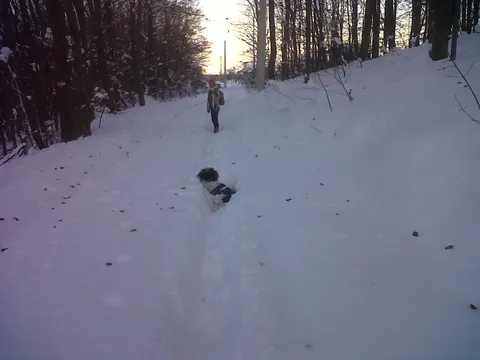 frenica i naš pas u snijegu