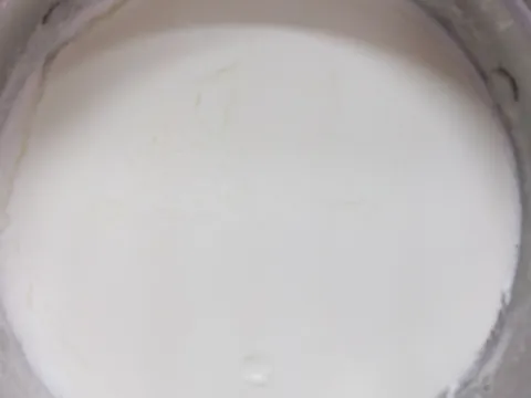 Domaci grcki jogurt