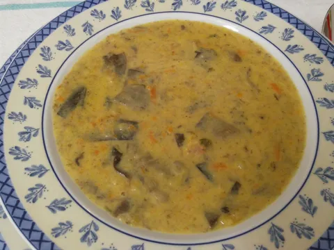 gusta juha od gljiva turčina