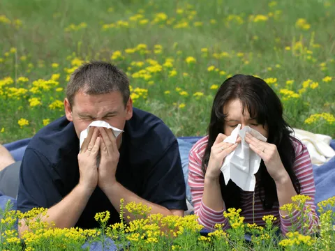 Savjeti za ublažavanje alergija