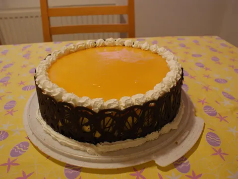 Orange crush torta s čokoladnom ogradicom