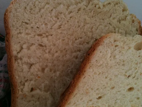 Mliječni kruh