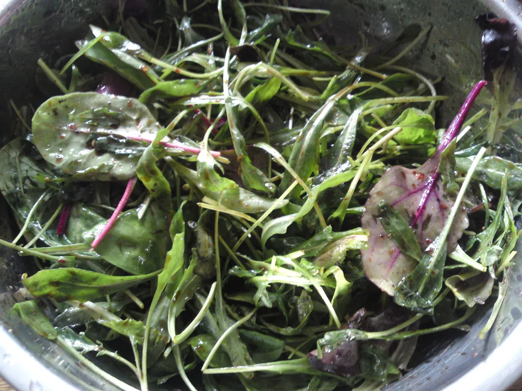 Proljetni mix-salata