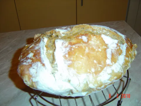 Moj kruh od pirovog  brašna