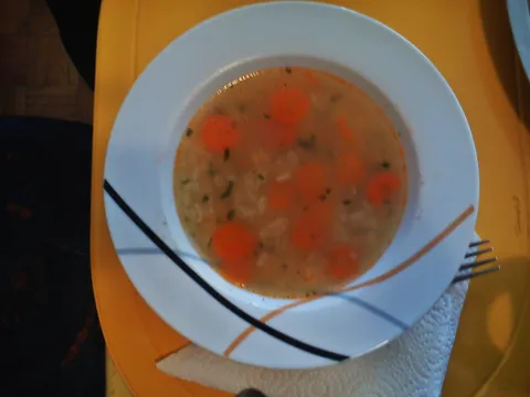 Riblja juha od mola