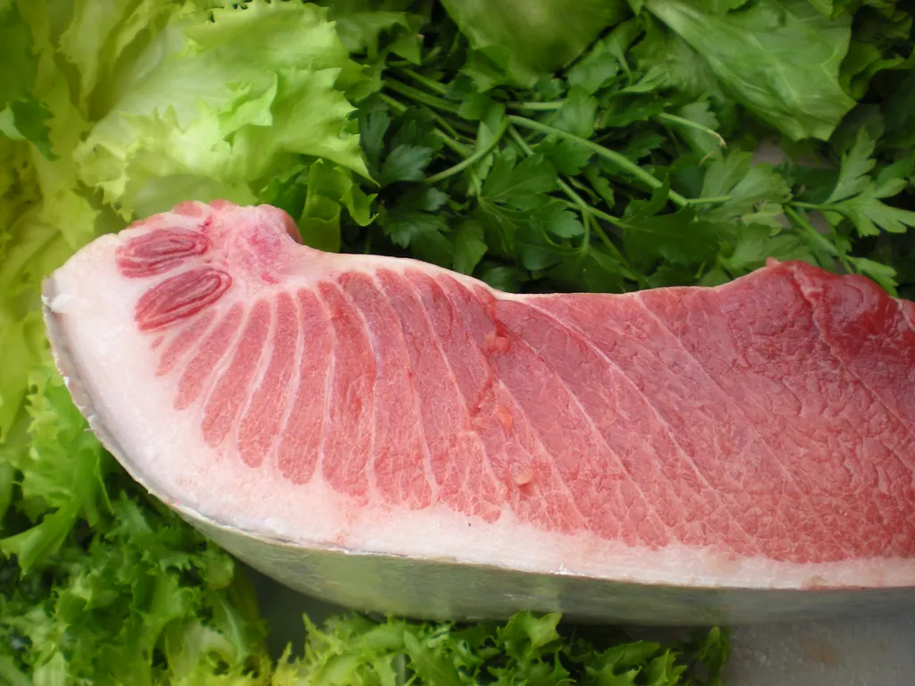 Svježa tuna – što češće na stolu