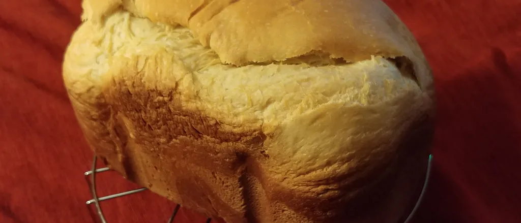 Kruh s medom