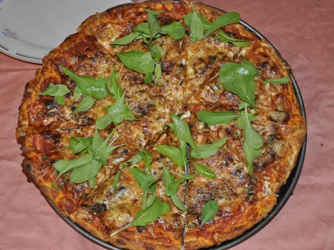Pizza with my organic salad