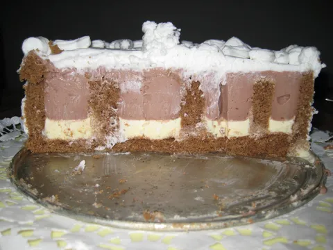 Okomita cokoladnobijela torta by Dariya