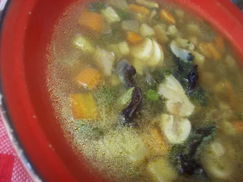 bistra juha od sušenih  gljiva
