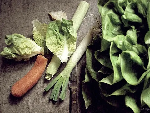 O zelenoj salati,  za clanak