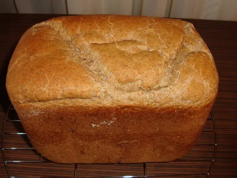 Raženi hleb iz mini-pekarice II (bez SB)