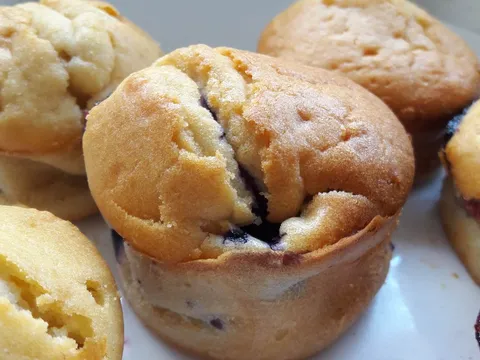 Blueberry muffin - Muffin sa borovnicama