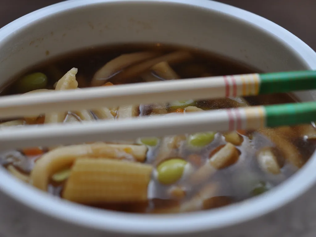UDON - Japanska supa