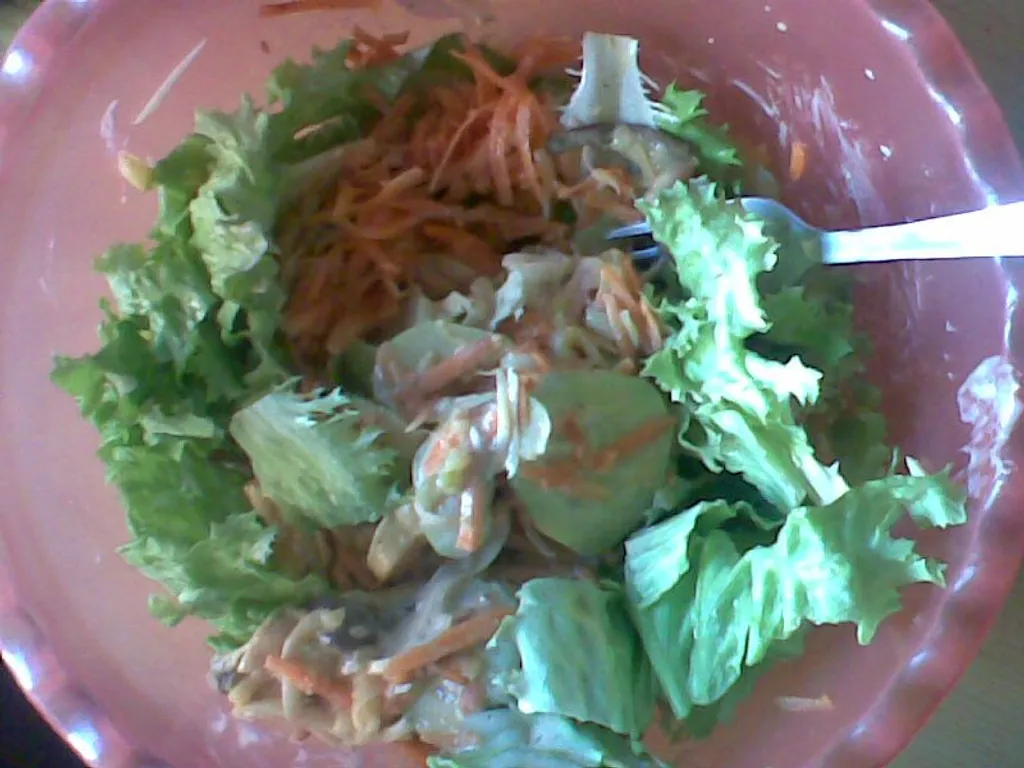 Salata s piletinom