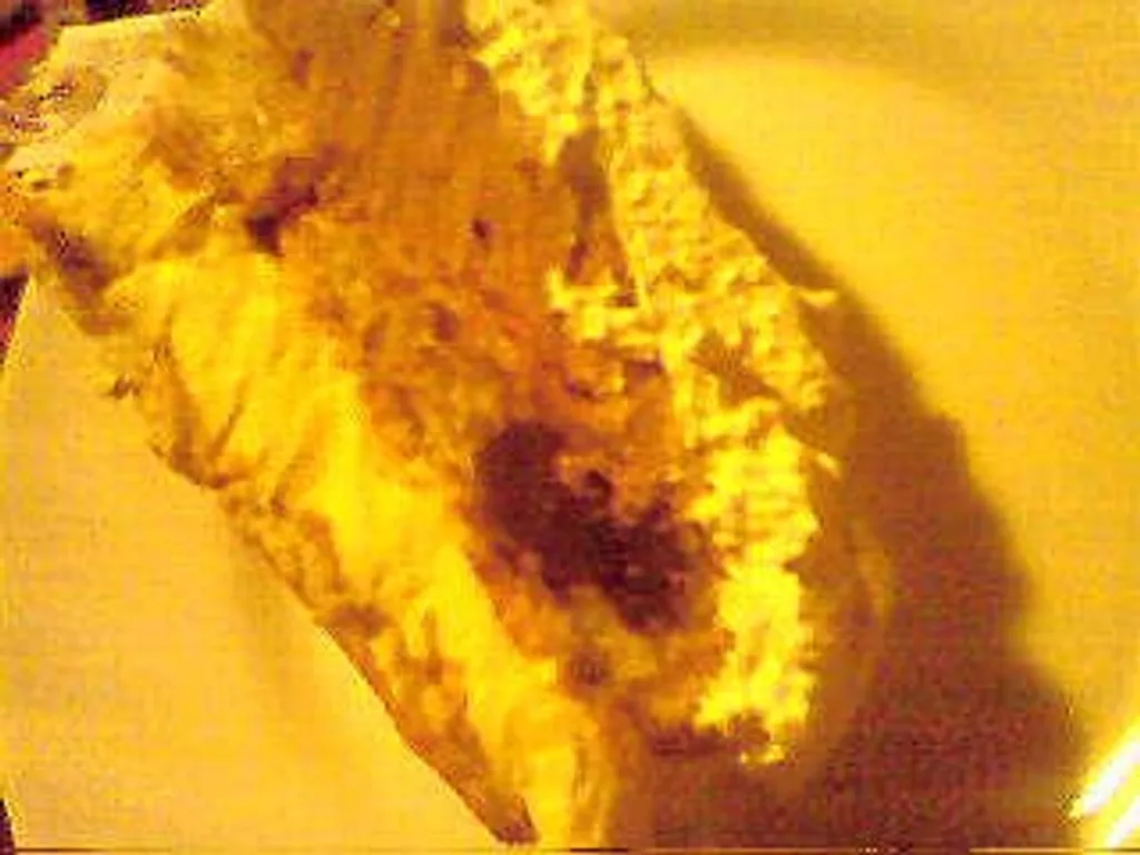 Croasan torta mame Ranke