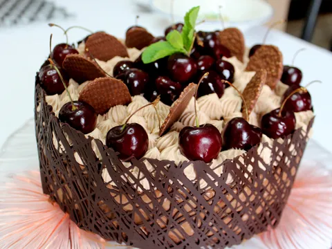 Bogata torta od čokolade i višanja