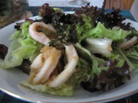 Saletove lignje u zelenoj salati