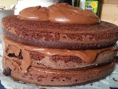 Devil's chocolate cake