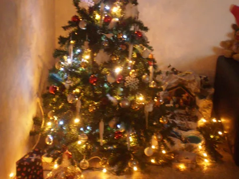 Čestit Vam Božić i što sretnija Nova 2013. godina