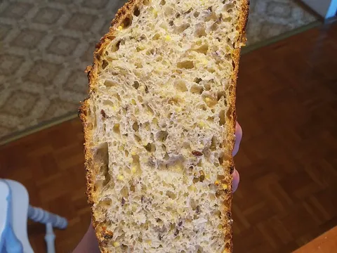 Kruh sa cjelovitim žitaricama (whole grain)