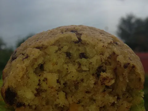 muffins s komadicima narance i cokoladom