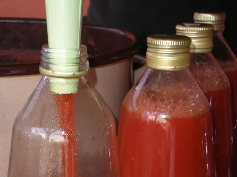 kuhana rajčica &#8211; sipanje u boce